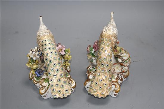 A pair of Derby figures of peacocks, c.1840, red printed crown D mark, H. 15.5 and 16cm